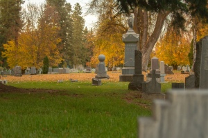 cemetery (70 of 59)